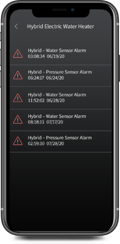 ruudhybrid-advanceddiagnostics